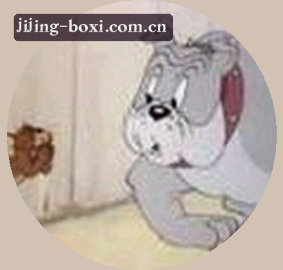 刘洋
